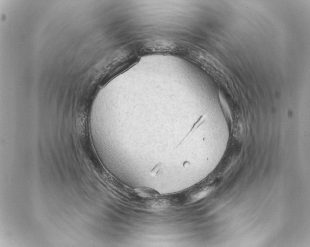 X0000088180604200706051143