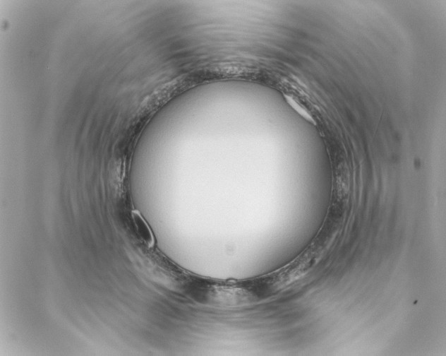 X0000088180605200706051143