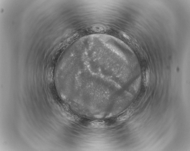 X0000088180606200706051143