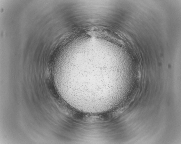 X0000088180607200706051143