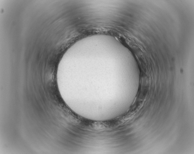 X0000088180608200706051143