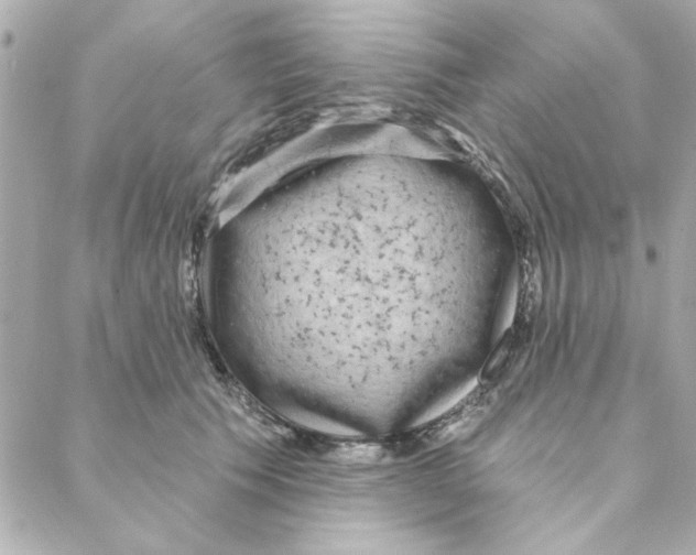 X0000088180609200706051143