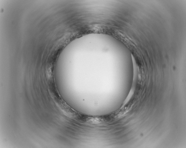 X0000088180611200706051143