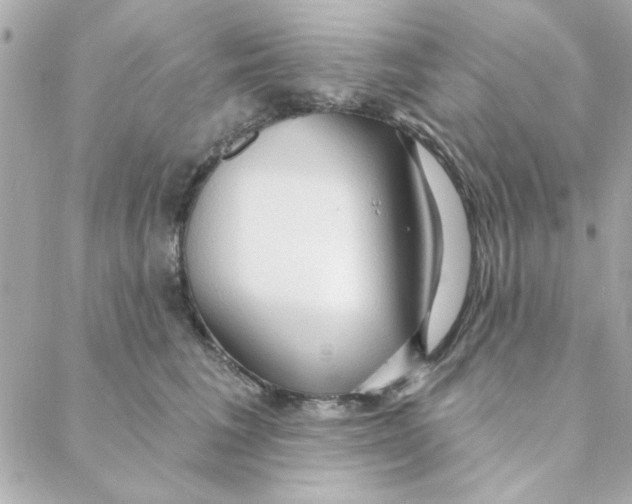 X0000088180613200706051143