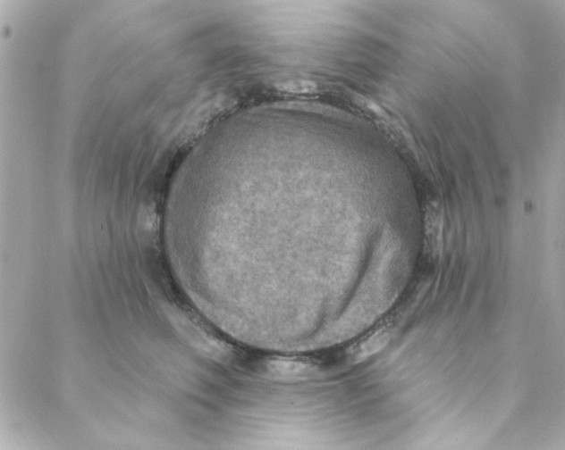 X0000088180614200706051143