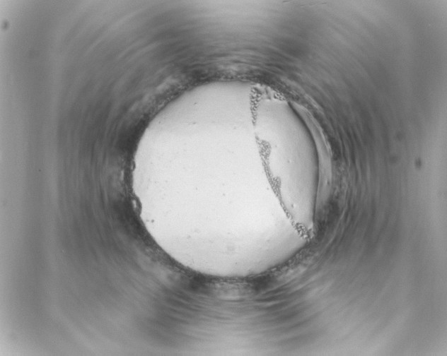 X0000088180615200706051143