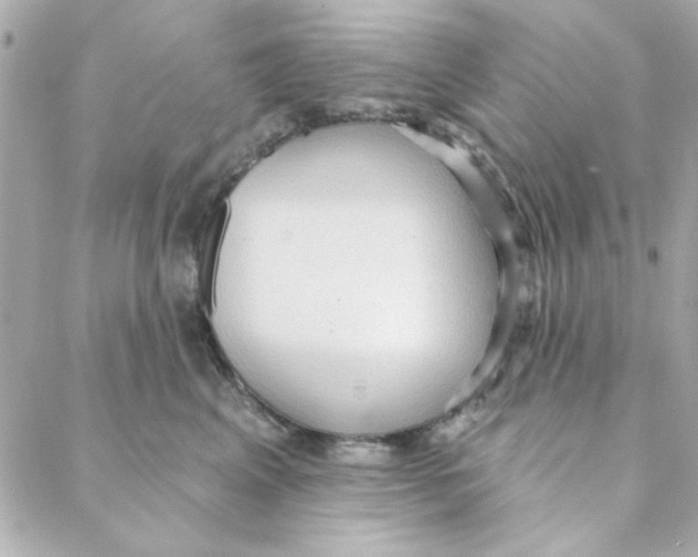 X0000088180617200706051143