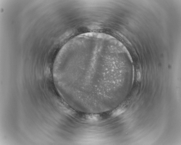 X0000088180618200706051143