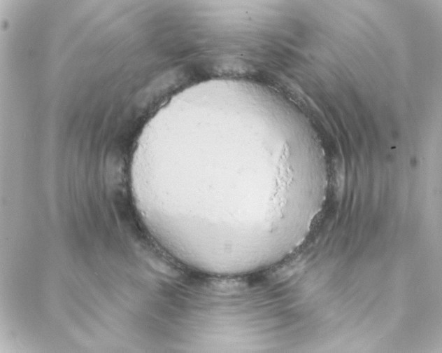 X0000088180619200706051143