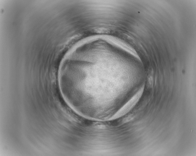 X0000088180620200706051143