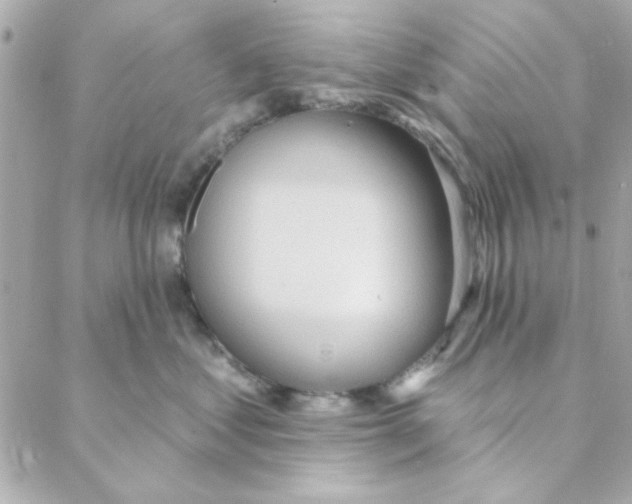 X0000088180621200706051143