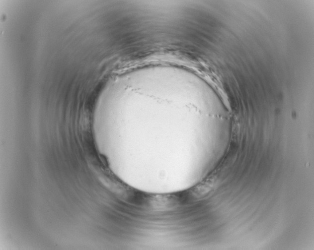 X0000088180623200706051143