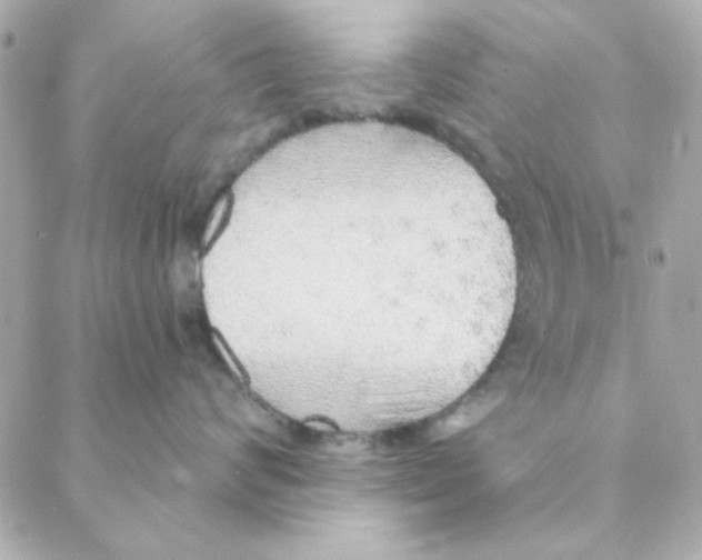 X0000088180624200706051143