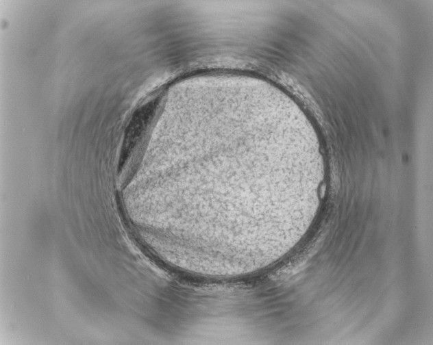 X0000088180625200706051142