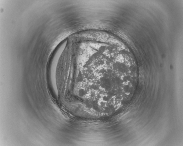 X0000088180626200706051142