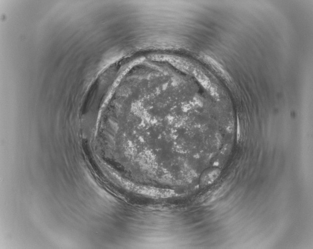 X0000088180627200706051142