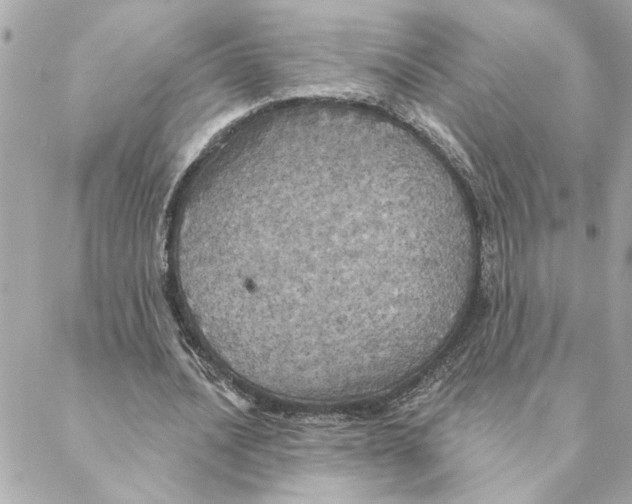 X0000088180628200706051142