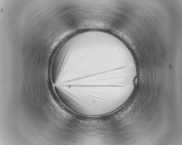 X0000088180629200706051142