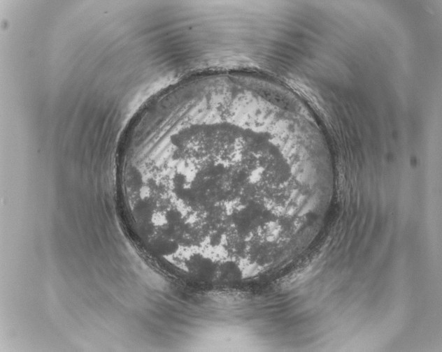 X0000088180630200706051142