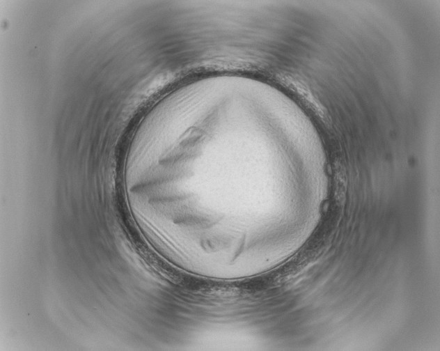 X0000088180631200706051142