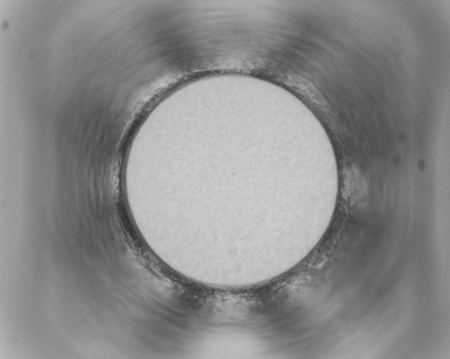 X0000088180632200706051142