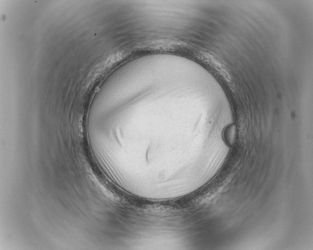 X0000088180633200706051142