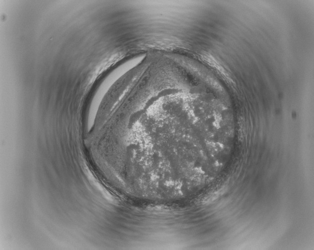 X0000088180634200706051142