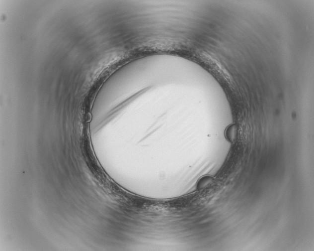 X0000088180635200706051142