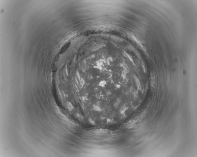 X0000088180637200706051142