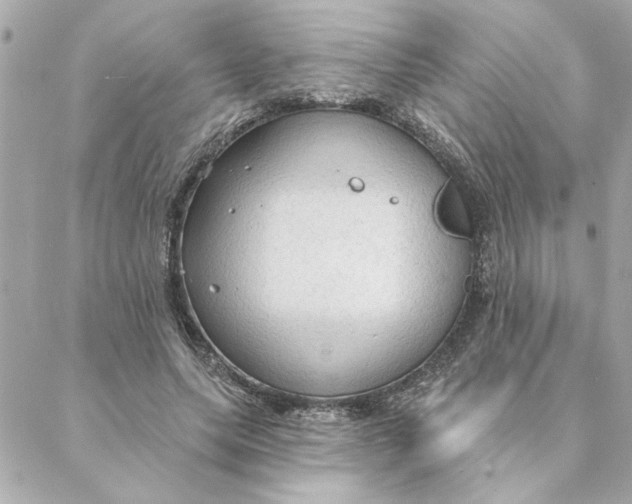 X0000088180639200706051142