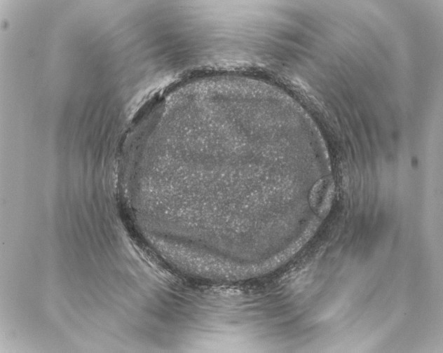 X0000088180640200706051142