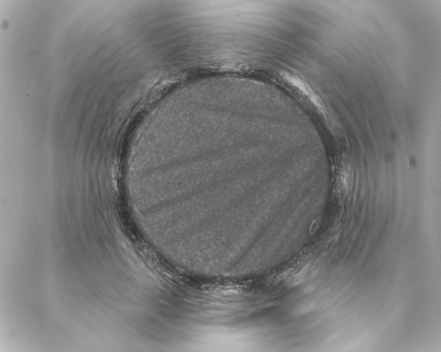 X0000088180643200706051143