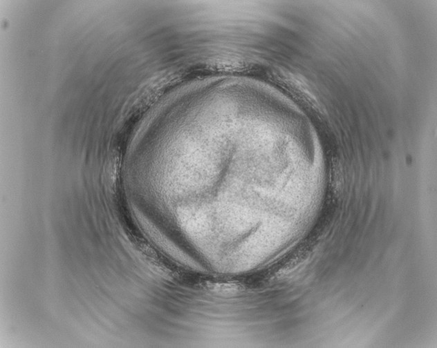 X0000088180645200706051143