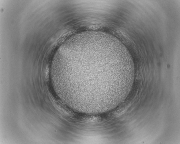 X0000088180646200706051143