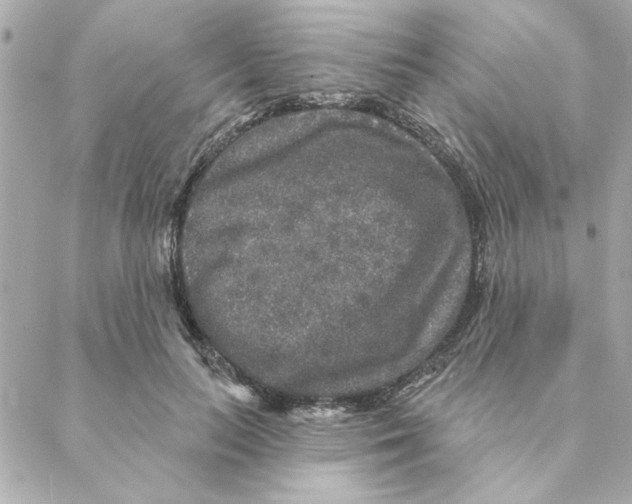 X0000088180647200706051143