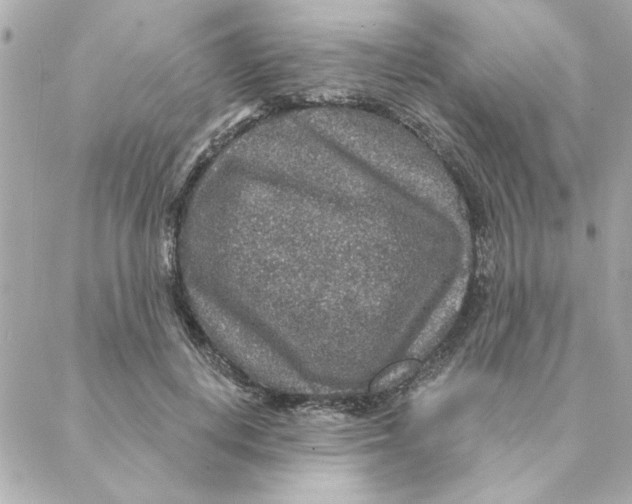 X0000088180648200706051143