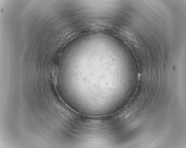 X0000088180649200706051143