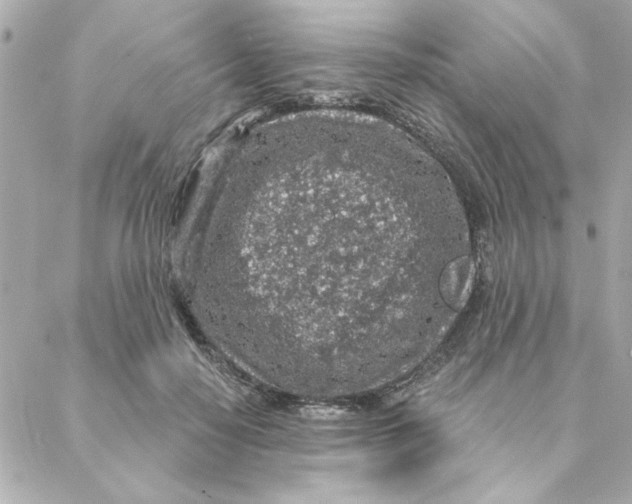 X0000088180650200706051143