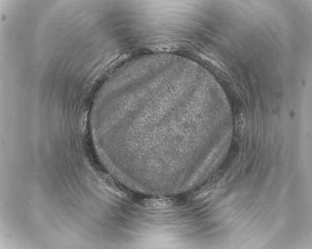 X0000088180652200706051143