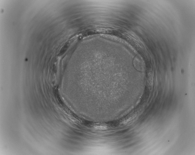 X0000088180653200706051143