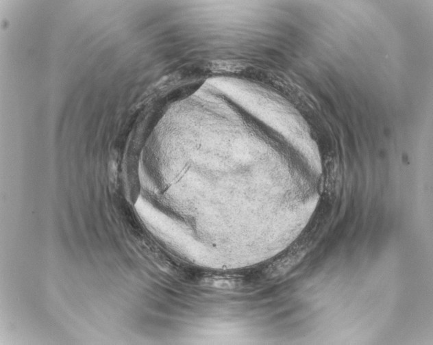 X0000088180655200706051143