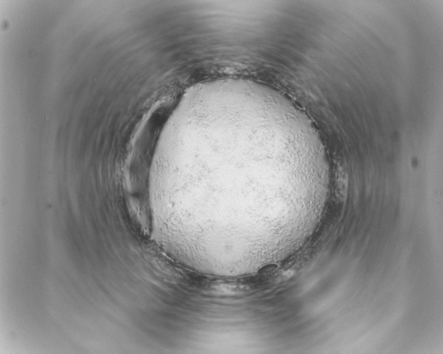 X0000088180657200706051143