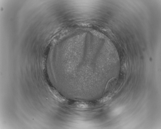 X0000088180658200706051143