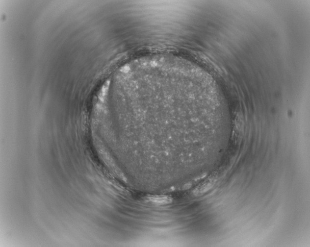 X0000088180659200706051143