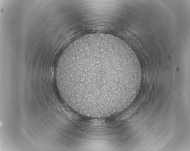 X0000088180660200706051143