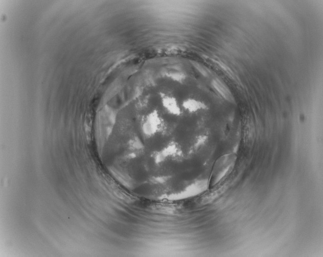 X0000088180661200706051143