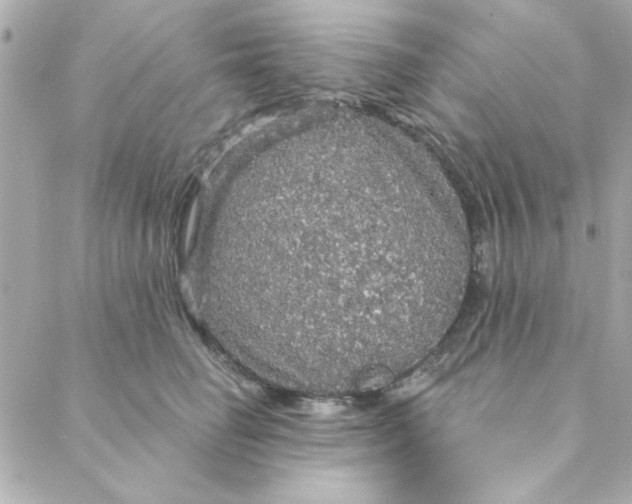 X0000088180662200706051143