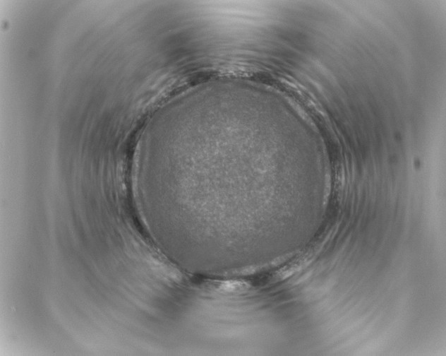 X0000088180663200706051143