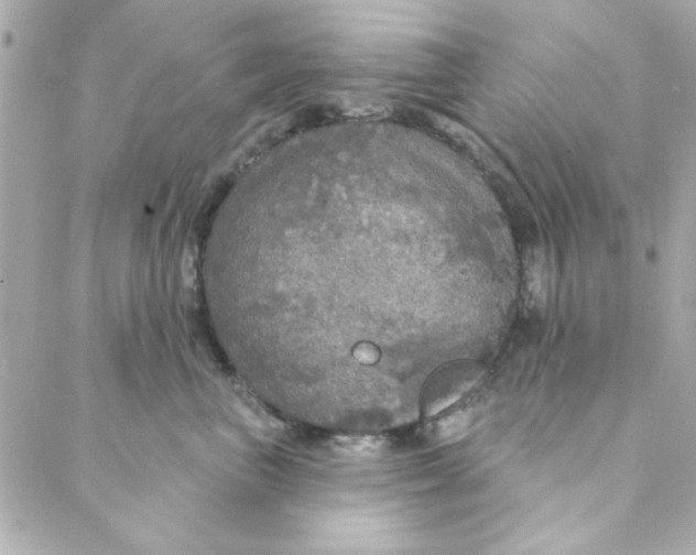 X0000088180667200706051143