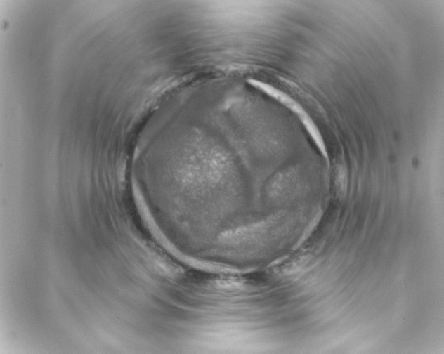 X0000088180668200706051143